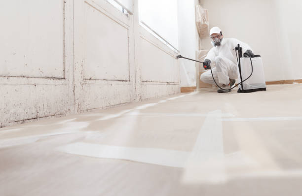 24/7 Emergency Commercial Mold Remediation experts in Holland, MI